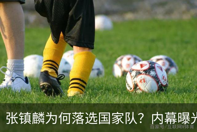 张镇麟为何落选国家队？内幕曝光，叫人心疼，郭士强并没放弃他